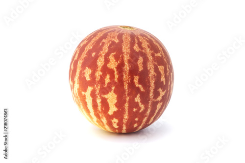 Obraz na płótnie Tigger melon