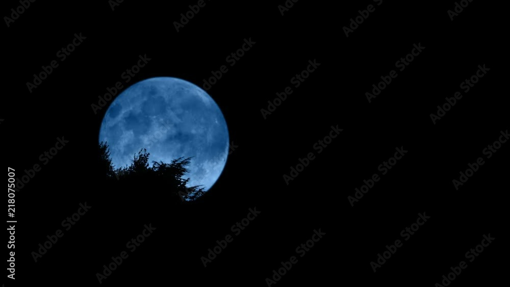 Moon Behind The Trees At Night Moon Behind The Trees At Night