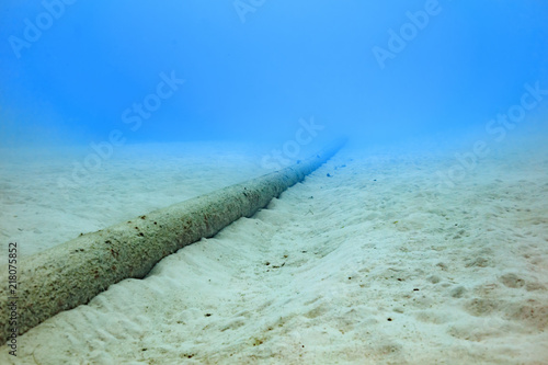 Ishigaki Island Diving - Submarine cable