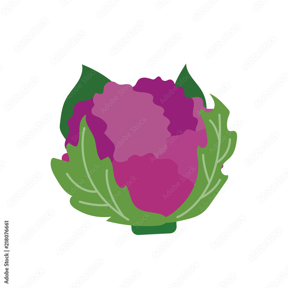 Nature organic vegetable Purple cauliflower