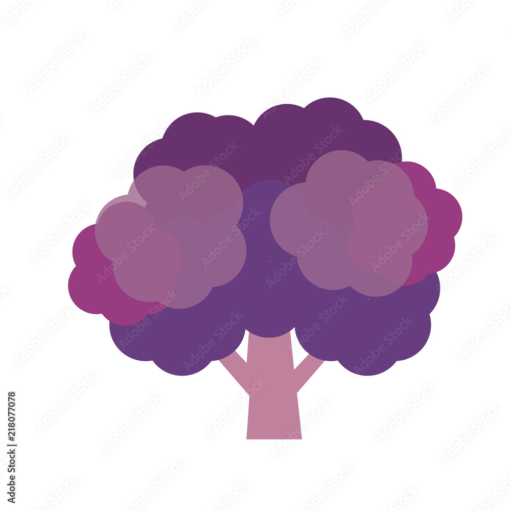 Nature organic vegetable Purple broccoli Nature organic vegetable Purple broccoli
