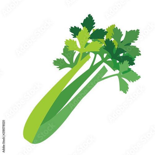 Nature organic vegetable Celery