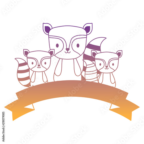 cute raccoons and decorative ribbon over white background  vector illustration