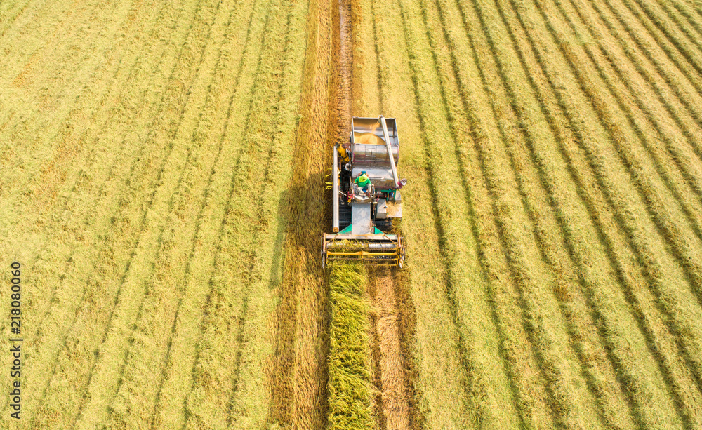 Combine harvester machine with rice farm.Aerial view and top view. Beautiful nature background. Combine harvester machine with rice farm.Aerial view and top view. Beautiful nature background.