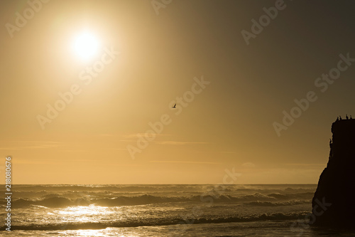 A lone cormorant takes off in search of food. Porma Beach, Chile