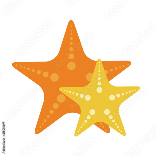 Cartoon object star fish
