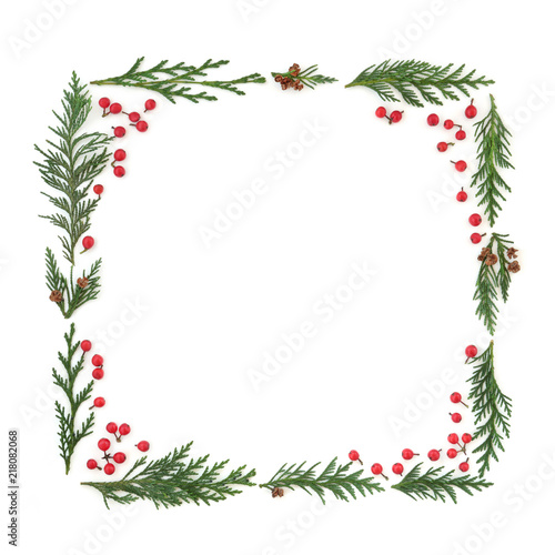 Cedar cypress leyland leaf sprigs and holly berries forming a square minimalist abstract frame on white background.
