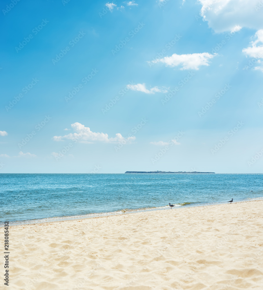 sand beach with seagull and sea with island on horizon under blue sky with clouds