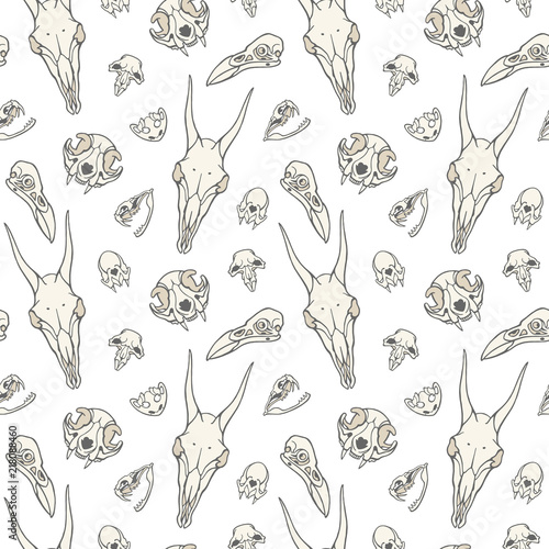 Hand drawn skulls of witch familiar spirits, familiars, animal guides seamless pattern. Rat, bat, goat, toad, raven, snake, cat sculls. Symbols of black magic, voodoo, witchcraft, sorcery background.