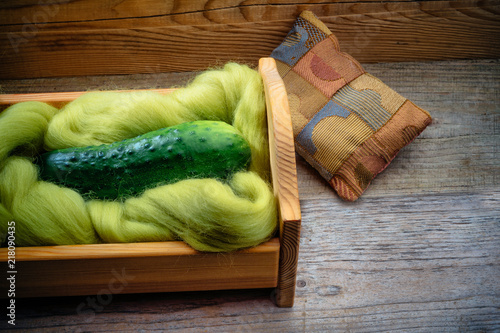 cucumber in a doll's bed. home storage of vegetables photo