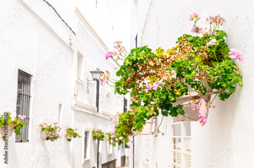 Fototapeta Naklejka Na Ścianę i Meble -  Pink geranium in the wall