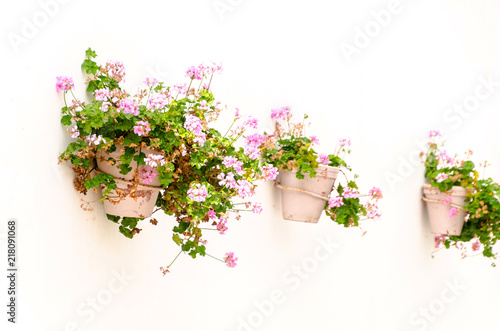 Fototapeta Naklejka Na Ścianę i Meble -  Pot of pink geraniums