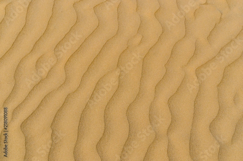 Sand texture in the beach
