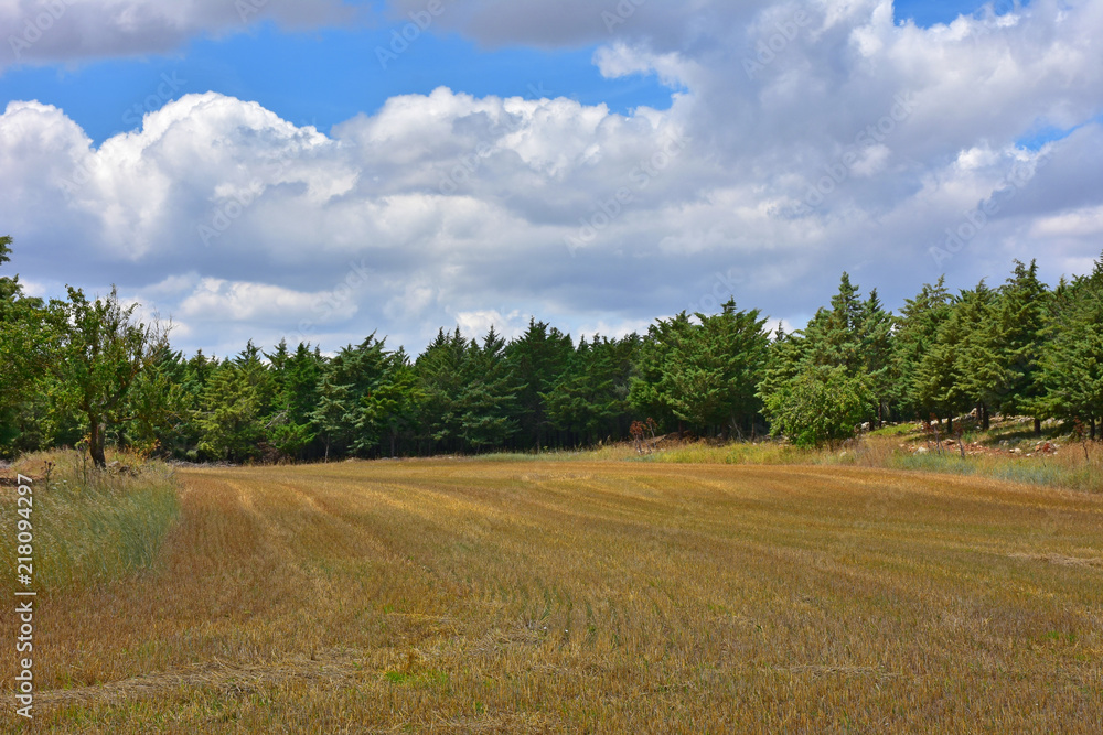 Italy, Puglia region, view and detail in the high Murgia area with trees, meadows, Italy, Puglia region, view and detail in the high Murgia area with trees, meadows,