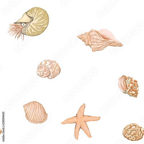 Sea world seamless pattern, background with fish, corals and shells on white background. Stock vector illustration.