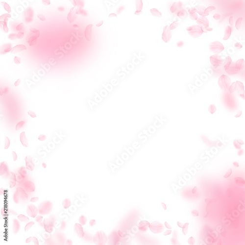 Sakura petals falling down. Romantic pink flowers vignette. Flying petals on white square background