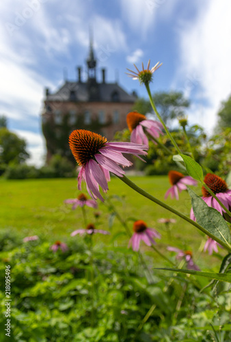 A flower in the forground and a castle in the background