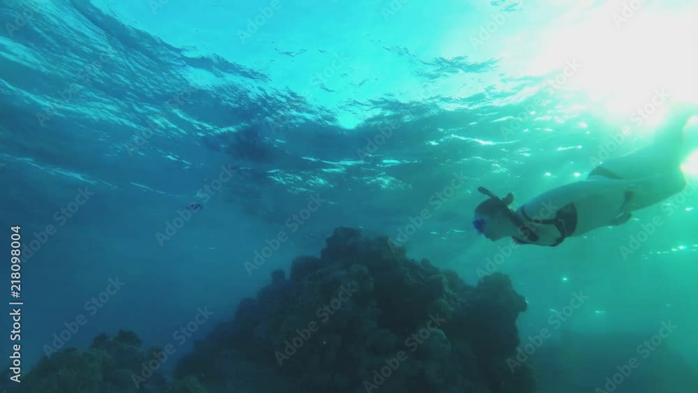 custom made wallpaper toronto digitalCute snorkeling girl swimming at a coral reef - backlit