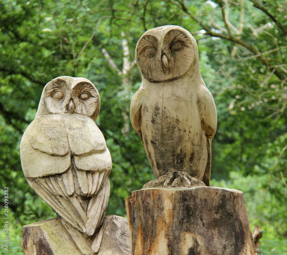 A Nice Pair of Carved Wooden Owl Statues.
