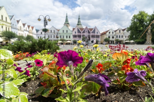 Colorful flowers. Slovakia