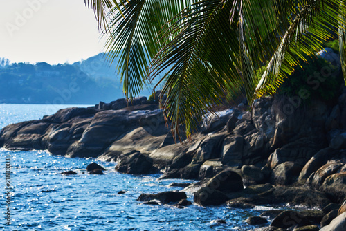Looking through palm leaves at the coastline with black granite rocks, palm trees, blue water. Early morning at picturesque tropical palm beach with large granitic boulders. Nature background..