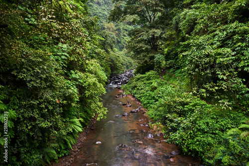 Fototapeta Naklejka Na Ścianę i Meble -  Tropical exotic. Traveling and adventure concept. Beautiful rain forest jungle.  rainforest with river.  River with stones in deep, lush green jungle. Natural landscape.