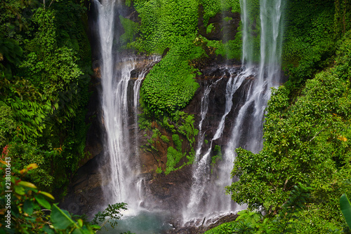 Tropical exotic. Traveling and adventure concept. Beautiful rain forest jungle. Rainforest with waterfall. River with stones in deep  lush green jungle. Natural landscape. Falling water with splash.