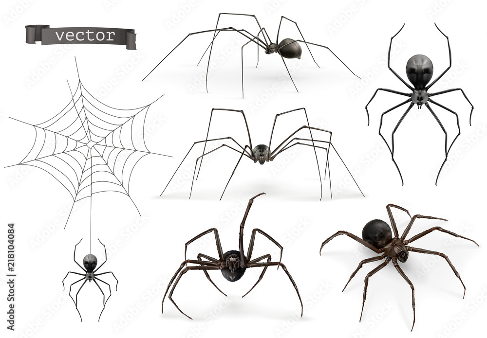 Realistic spider. Halloween 3d vector icon set