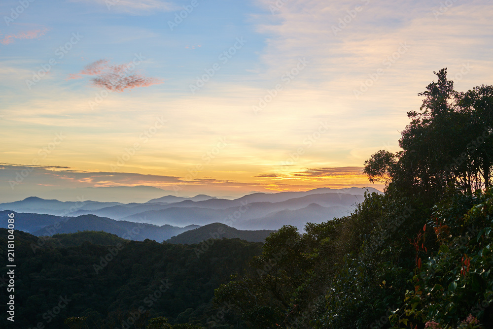Naklejka premium Colorful clouds of mist hovering low between green trees in the forest early morning. .Summer landscape. Fluffy clouds in the blue sky over the mountain valley illuminated by the rising sun..