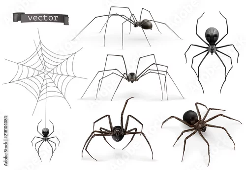 Fototapeta Realistyczny pająk. Halloween 3d wektor zestaw ikon