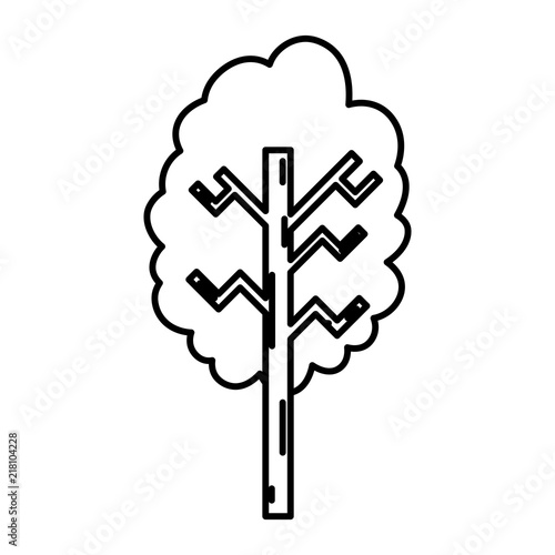 line ecolology tree branch with stalk style photo