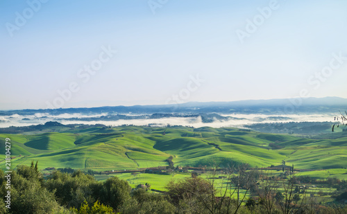 countryside cultivated with fog rising in the morning sunlight © pmmart