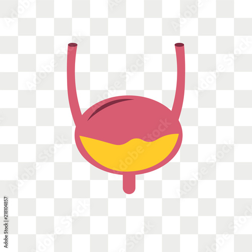 Bladder vector icon isolated on transparent background, Bladder logo design