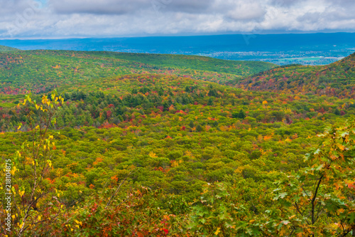 South Slope for Mt Frissell