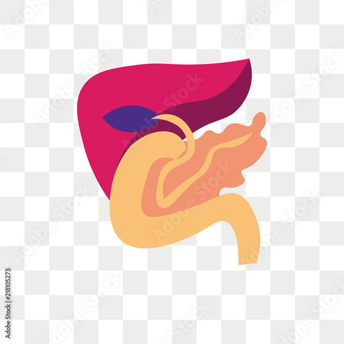 Pancreas vector icon isolated on transparent background, Pancreas logo design