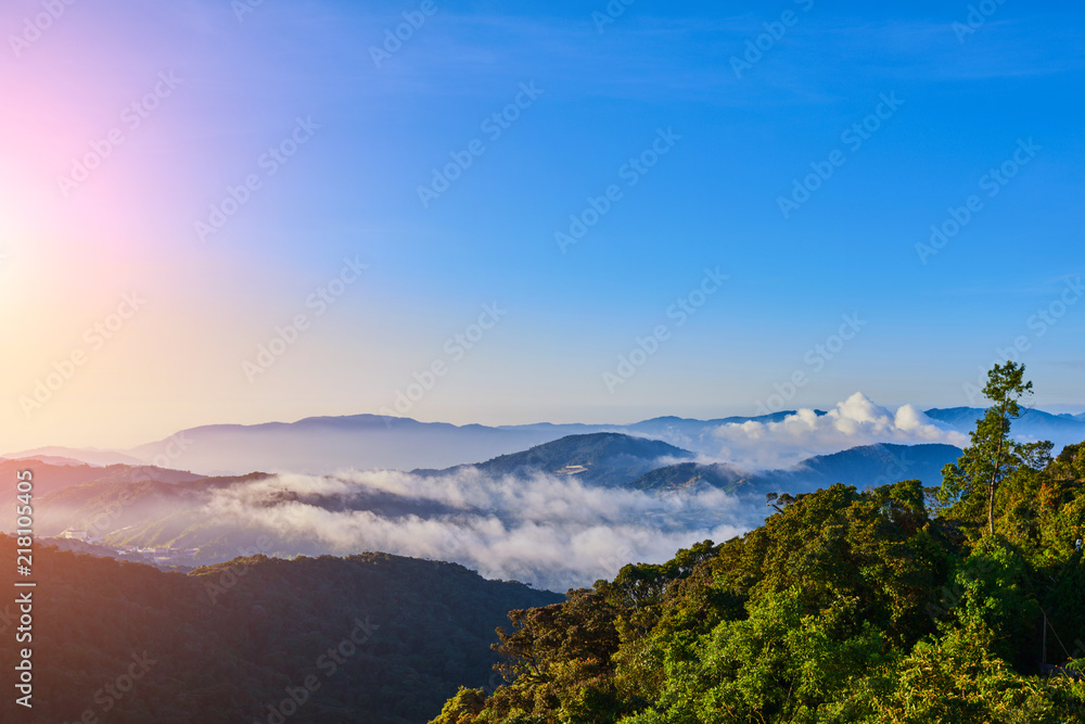 Cameron highlands sunrise at green tea farm. Dramatic moving cloud in nature landscape on sunshine morning. Beautiful dramatic sunset in the mountains. Landscape with sun shining through orange clouds Cameron highlands sunrise at green tea farm. Dramatic moving cloud in nature landscape on sunshine morning. Beautiful dramatic sunset in the mountains. Landscape with sun shining through orange clouds