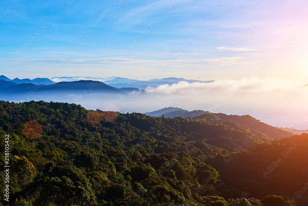 Fototapeta premium Cameron highlands sunrise at green tea farm. Dramatic moving cloud in nature landscape on sunshine morning. Beautiful dramatic sunset in the mountains. Landscape with sun shining through orange clouds