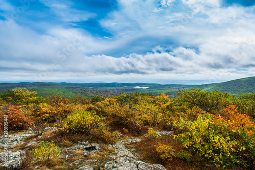 View from the top