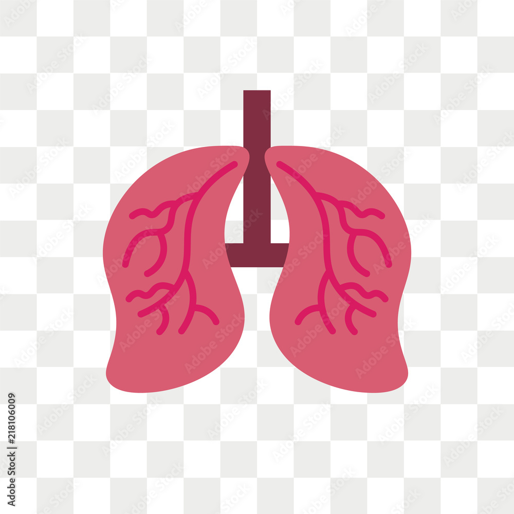 Lungs vector icon isolated on transparent background, Lungs logo design