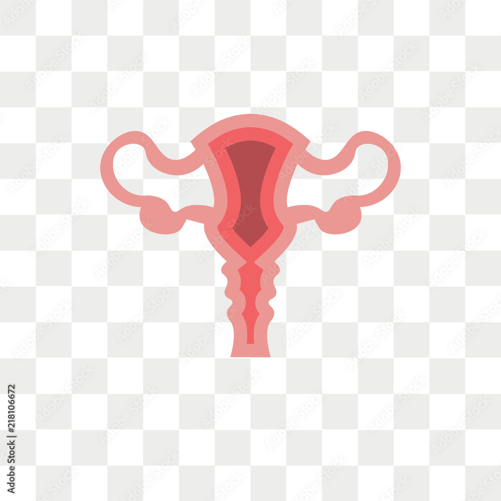 uterus icons isolated on transparent background. Modern and editable uterus  icon. Simple icon vector illustration. Stock Vector