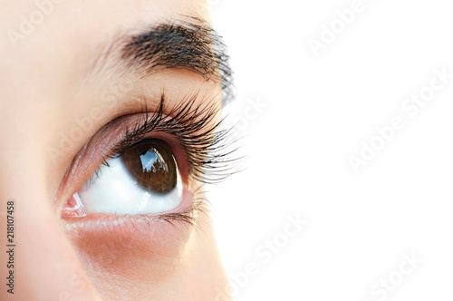 Fototapeta Naklejka Na Ścianę i Meble -  Woman eye with long false eyelashes on isolated. Close up macro shot of eyes visagein in beauty salon on white background.
