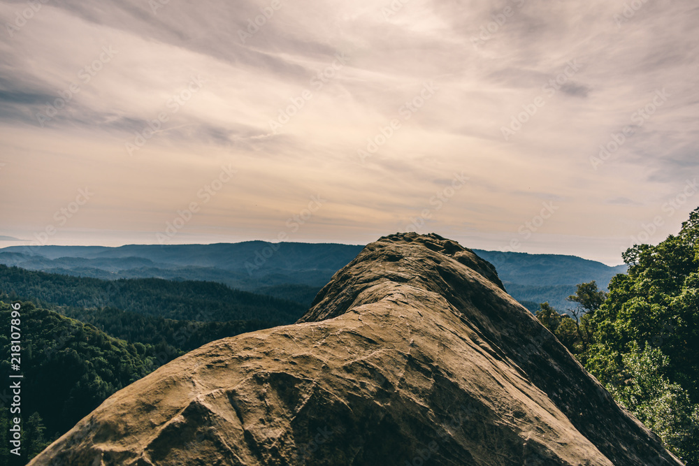 Naklejka premium Goat rock