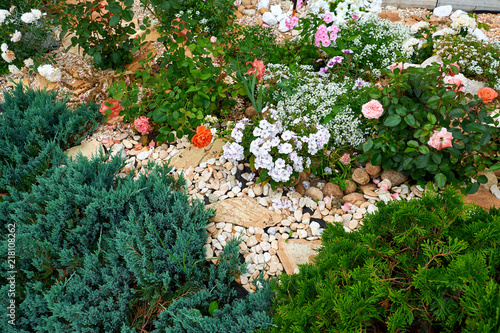 Fototapeta Naklejka Na Ścianę i Meble -  Garden Design. Flowerbed in the yard in landscape design