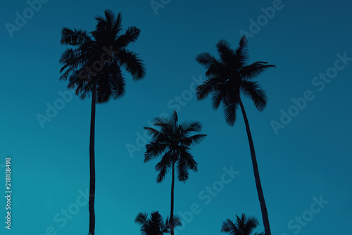 Silhouette of palm trees at sunset, vintage filter. Rodeo Los Angeles and clear summer skies. Summer vacation and nature travel adventure concept. Vintage tone filter effect color style.