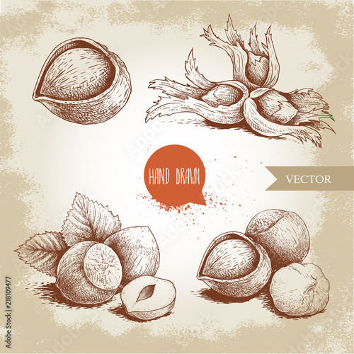 Hazelnuts set. Whole, peeled, sigles and groupwith leaves. Hand drawn sketch style illustrations collection. Vector drawings idolated on old background.