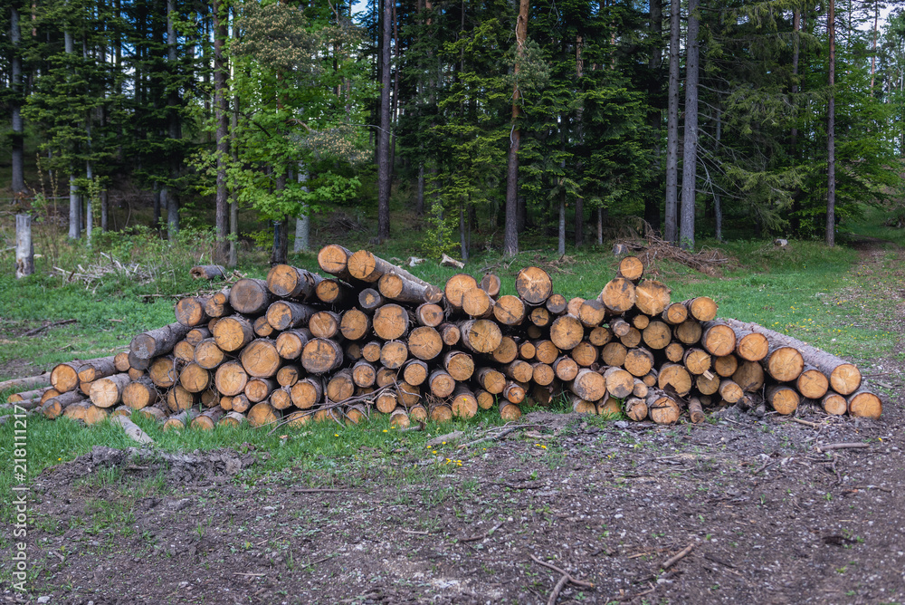 Timber heap in Slovak Paradise mountain range in Slovakia