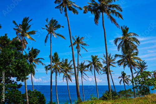 Coconut palm and beautiful tropical beach. Tall palm trees in a row at untouched tropical beach. Palm trees against blue sky at tropical coast. Travel  summer and vacation concept. Beauty world.