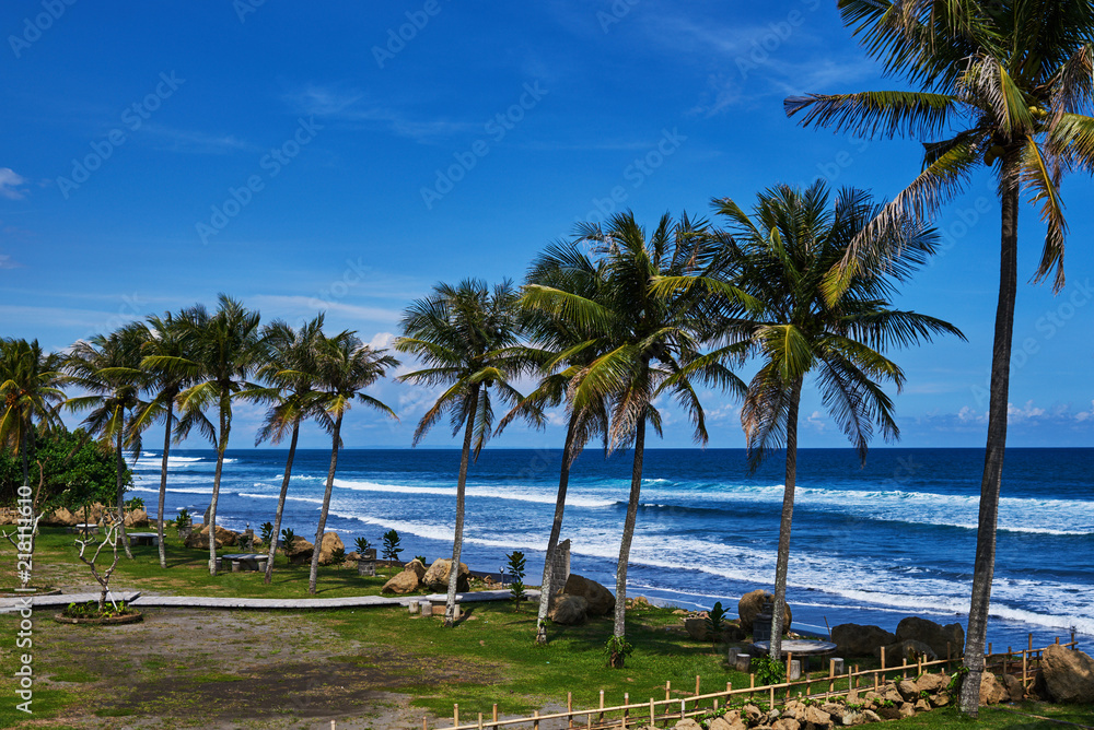 Coastline with lush coconut trees on the beautiful island. Tropical shore, landscape. Row of palm trees along the sea shore. Summer tourism, vacation and holiday concept. Blue sea water and blue sky.