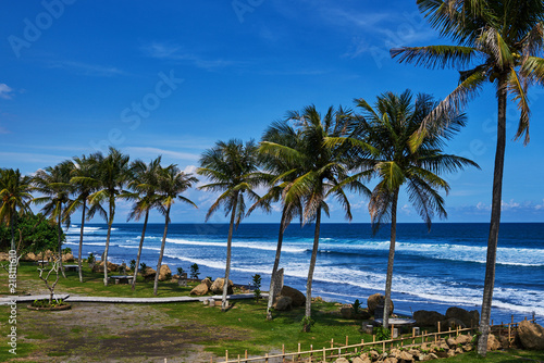 Coastline with lush coconut trees on the beautiful island. Tropical shore  landscape. Row of palm trees along the sea shore. Summer tourism  vacation and holiday concept. Blue sea water and blue sky.