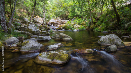 Rio con piedras entre bosque de ribera